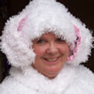 Meet your Posher, Sandy